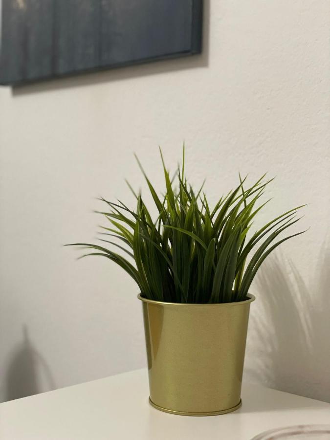 Apartman Casalope Daire Zagreb Dış mekan fotoğraf